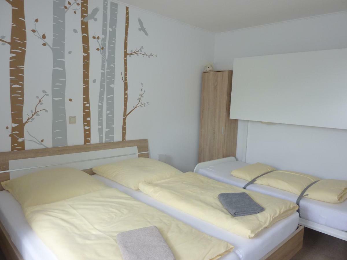 Ferienwohnung Edelmann Markersbach Dış mekan fotoğraf
